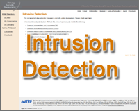 "Standardization efforts in this area of cyber security include the following..."